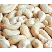 Indian cashew